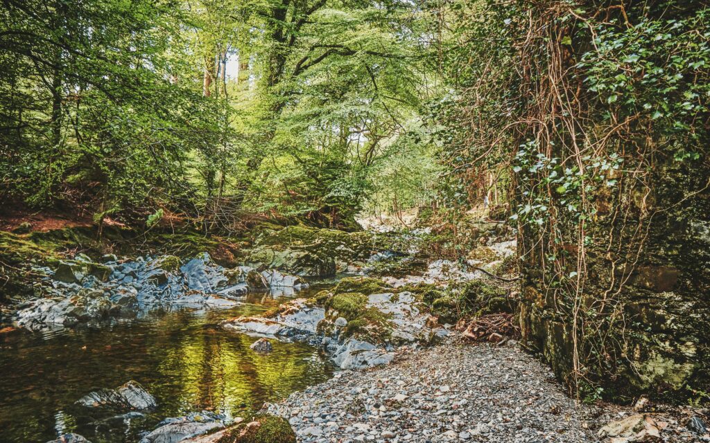 Tollymore Forest Park (Foresta Stregata)